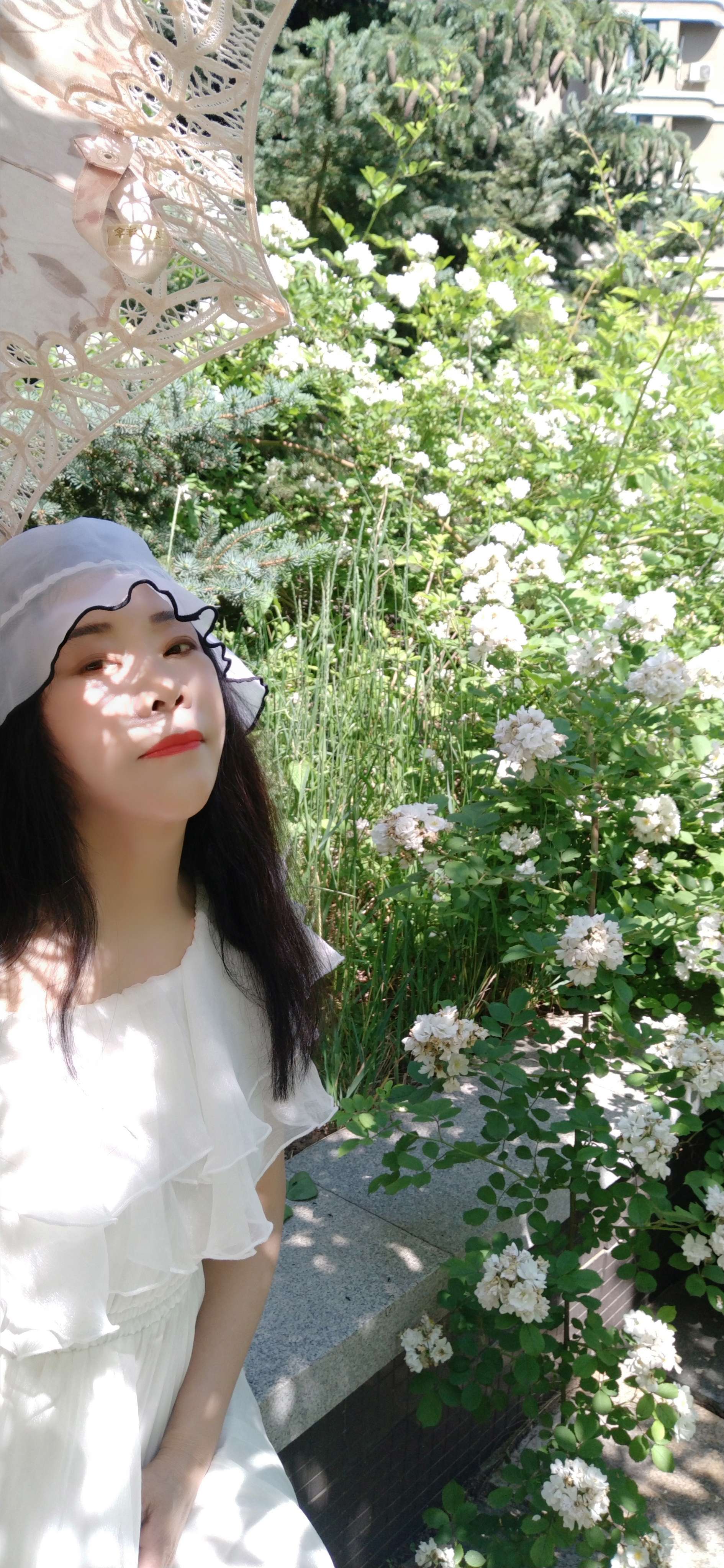 芳香小说_芳香小说免费阅读_芳香小说杨明