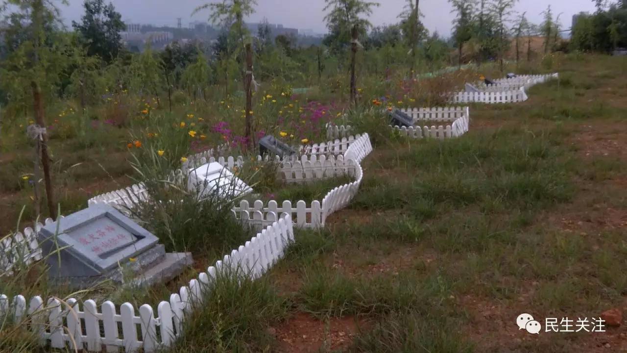 樱校隐藏地点墓地_神之墓地26a隐藏英雄密码_神之墓地攻略304隐藏