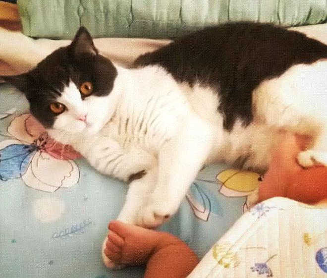 猫咪成人网免费观看_猫咪成人网免费观看_猫咪成人网免费观看