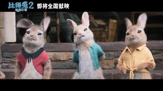 哒哒兔影视_哒哒兔影视_哒哒兔影视