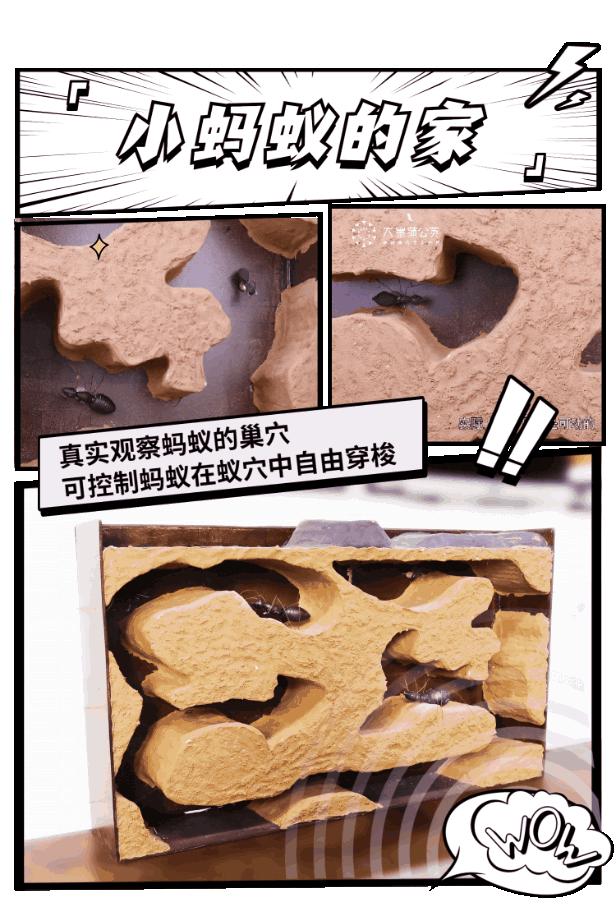 超级看看摄像头下载安装_超级看_超级看看监控系统app