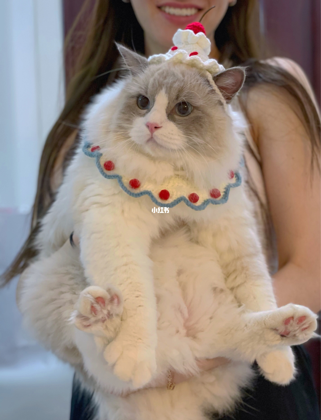 成人猫咪_成人猫咪_成人猫咪
