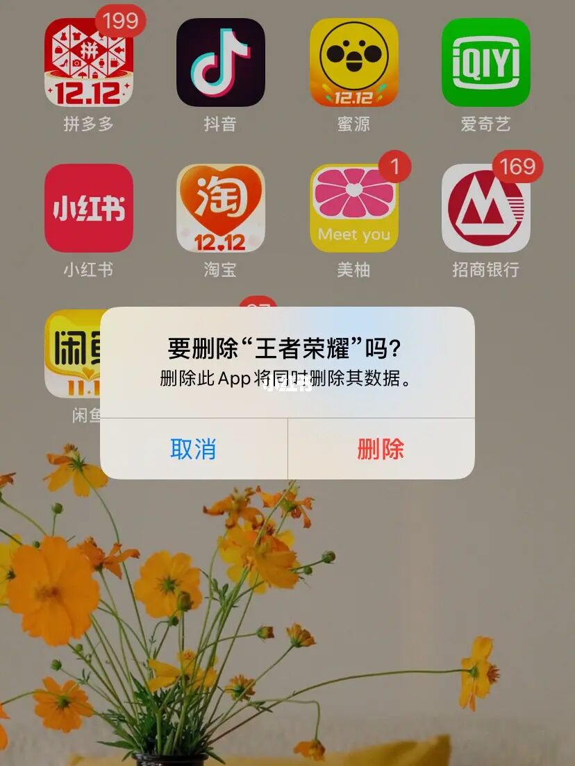 王者下载图片_王者荣耀去图软件怎么下载_王者荣耀下载安装图片