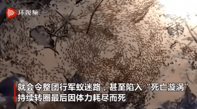 多款变态游戏app_变态小游戏大全_变态游戏排名前十