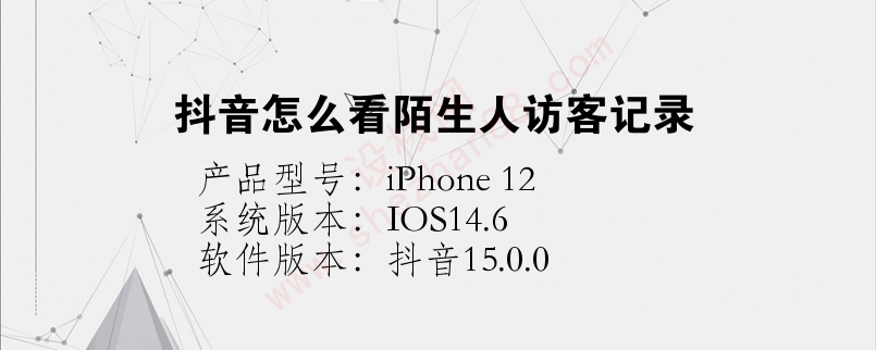 视频号能看到访客记录吗_视频访客能记录看到号码吗_视频访问记录