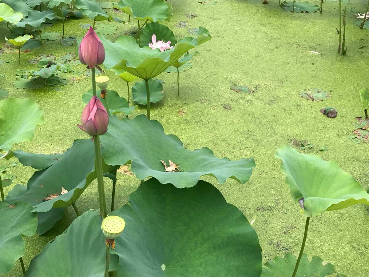 郭言郭语_郭言郭语_郭言郭语