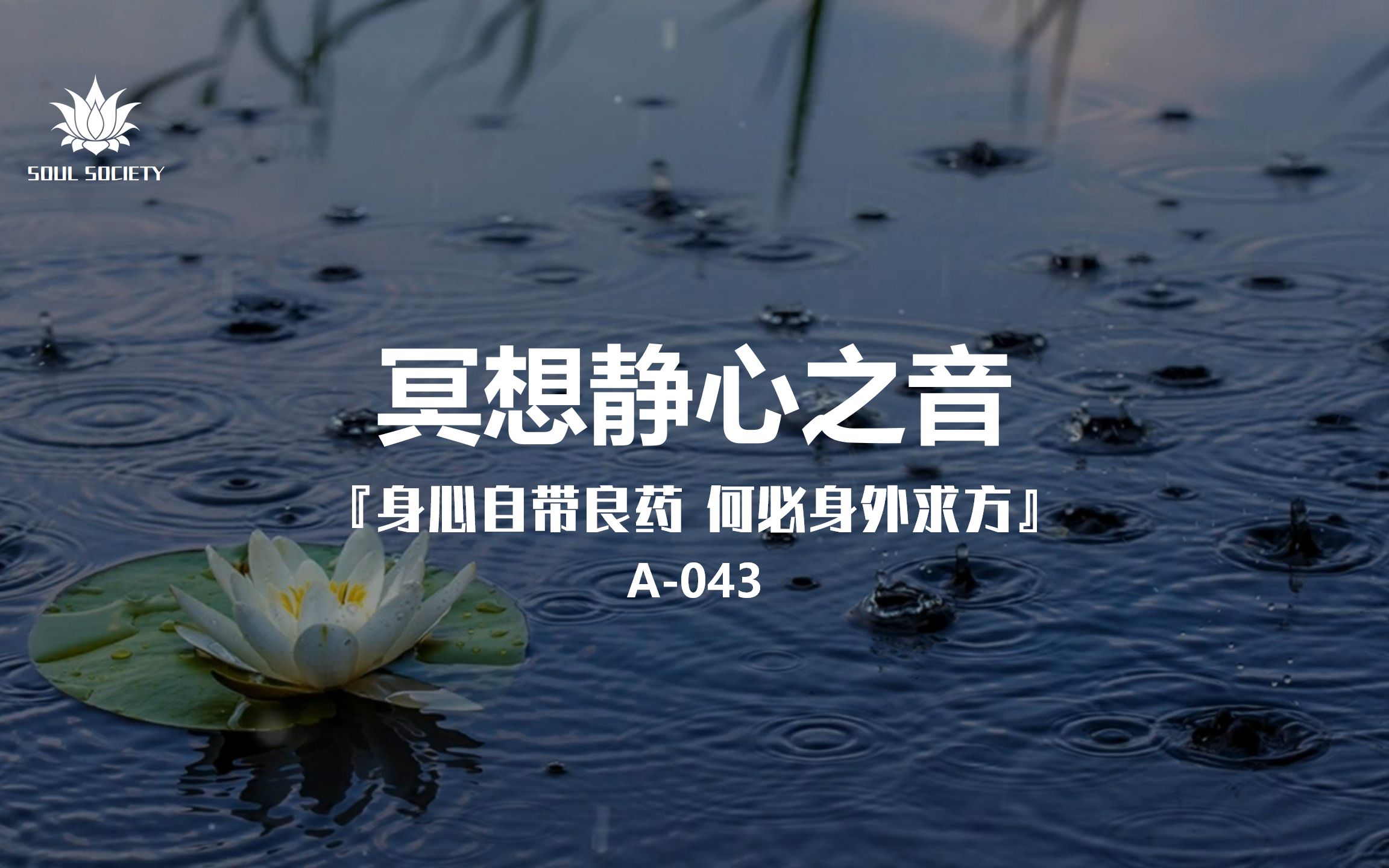 助眠软件十大排名_不正经的助眠软件_助眠软件