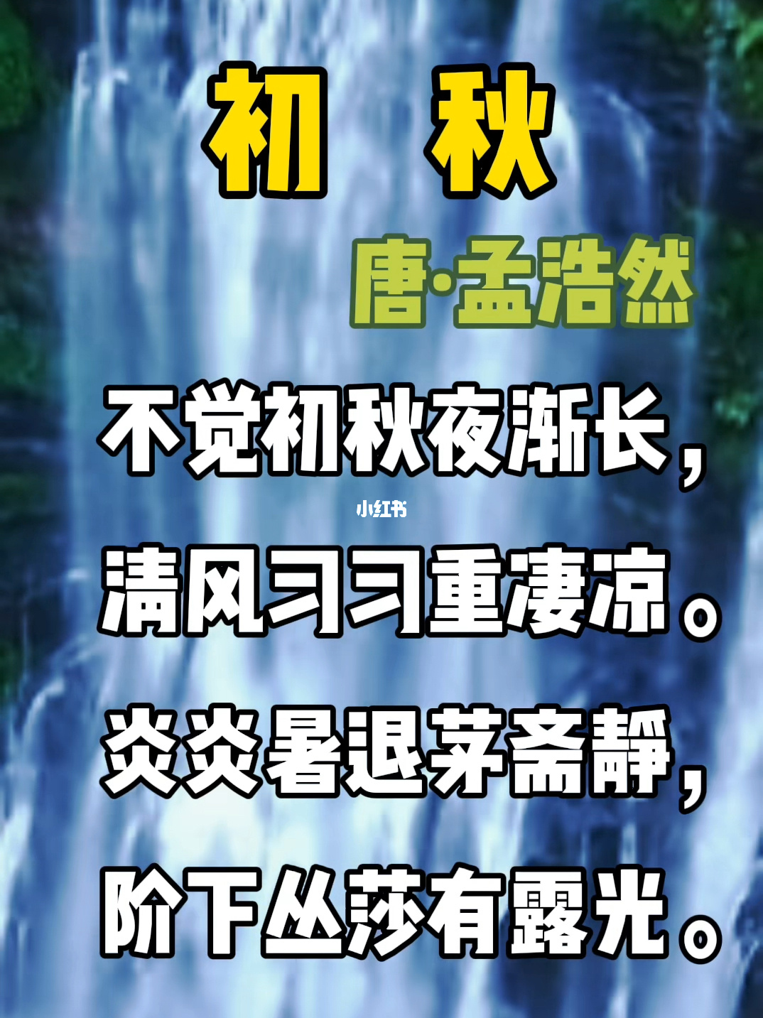 网元圣唐_网元圣唐赚了多少钱_网元圣唐商城