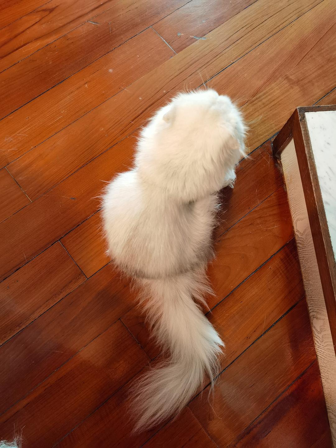 猫咪www免费人成网站登录_猫咪www免费人成网站登录_猫咪www免费人成网站登录