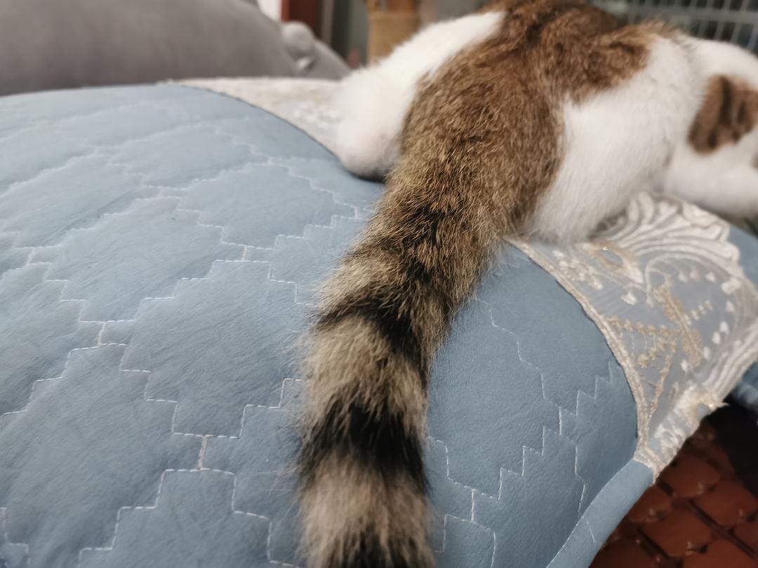 猫咪www免费人成网站登录_猫咪www免费人成网站登录_猫咪www免费人成网站登录