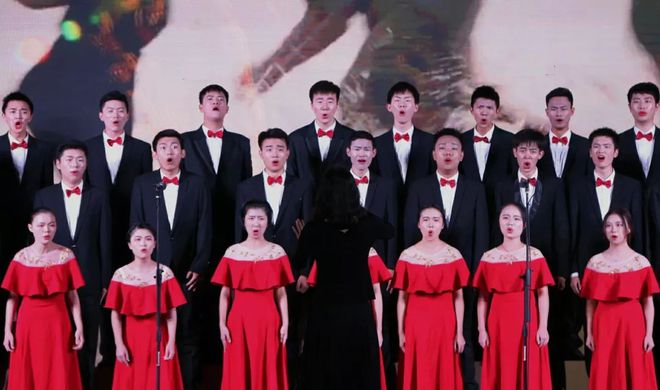 珈乐_珈乐中之人谭杉杉_珈乐为什么休眠