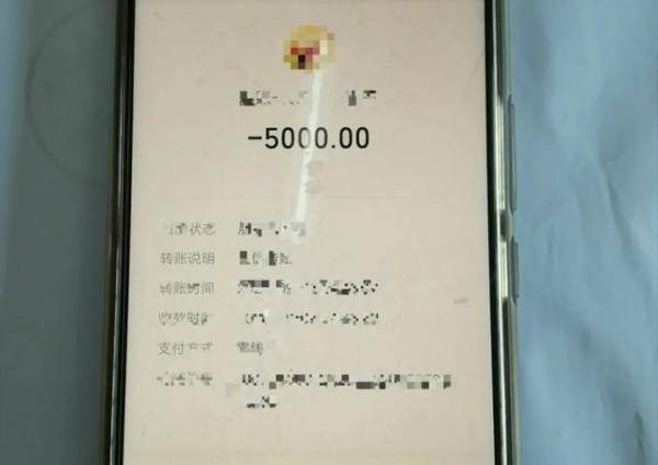 数字人民币转入微信-校园支付宝全新功能，让生活更便利