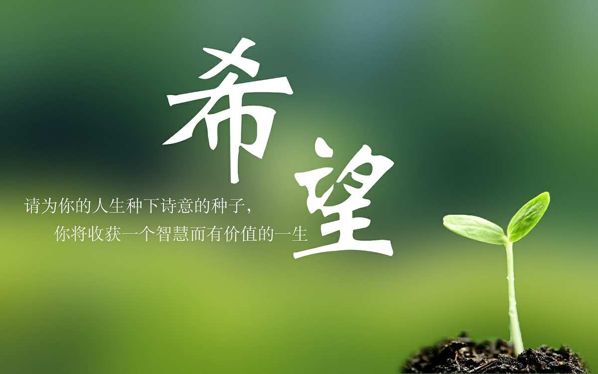 自豪简单短句_自豪简笔画_简自豪