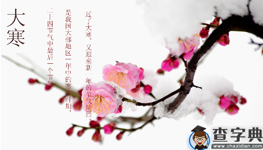 日历天数_日历天数计算机在线计算_日历天数计算器在线