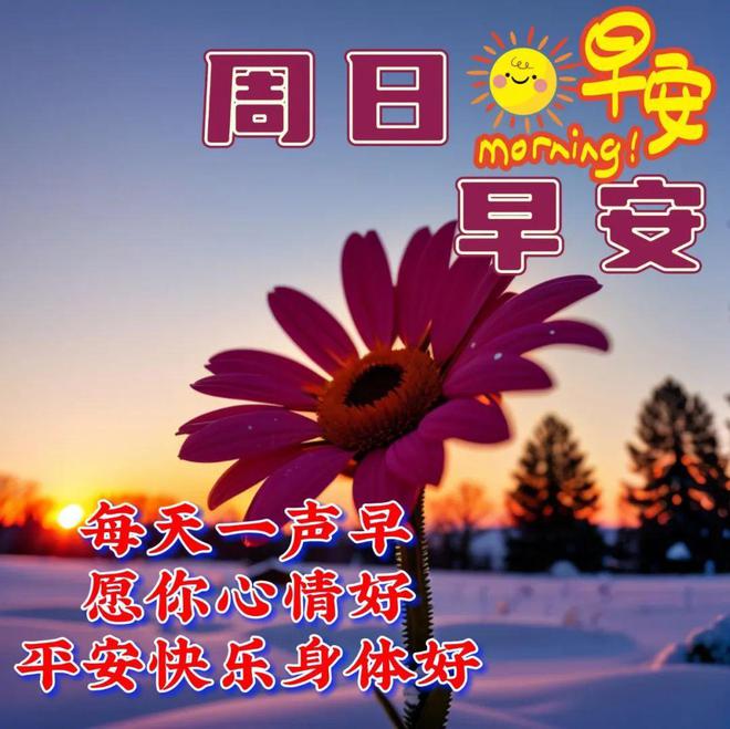 笑容兵库北_微笑的北登_兵库北的微笑
