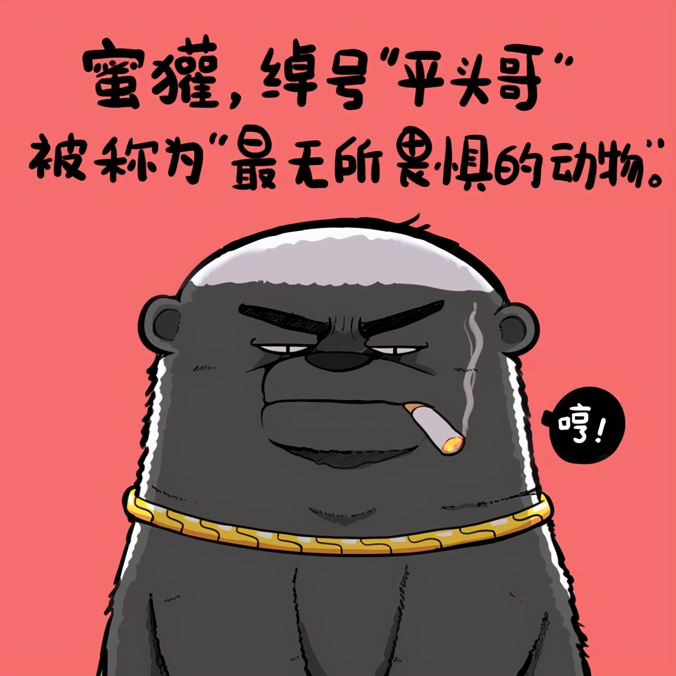 狮子王小游戏_狮子王游戏手机版_狮子王街机