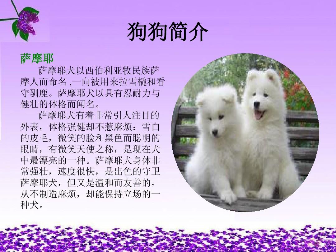 牧场类手机游戏_农牧助手手机版_手机版农牧游戏