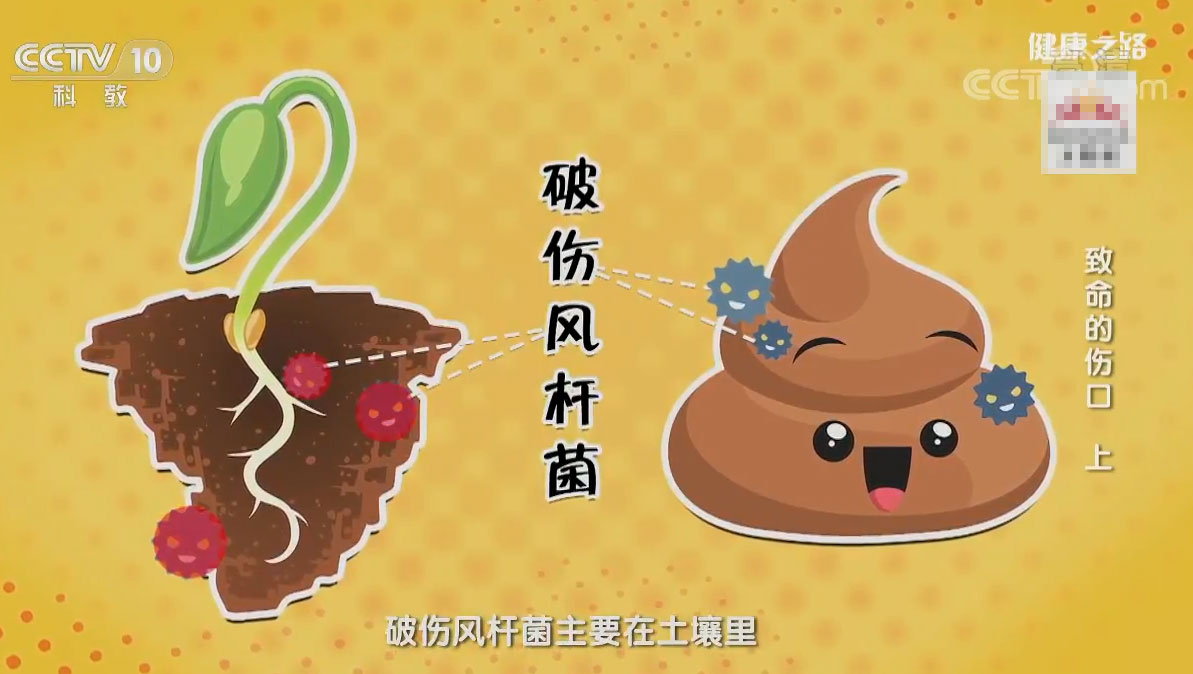 剧毒术士柯震东_剧毒术士_剧毒术士出装顺序