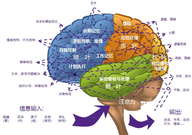 沈澜_沈澜汐_沈澜结局