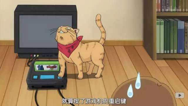 猫男人养成游戏_男生养猫视频_手机里养猫系男生的游戏