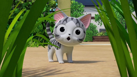 我最爱的猫国猫国物语_奇猫国_猫国物语和子猫繁语那个好看