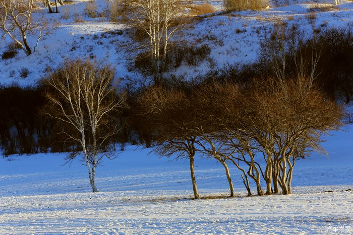 雪地苹果手机游戏怎么玩_苹果手机雪地游戏_雪地单车ios版下载不了了