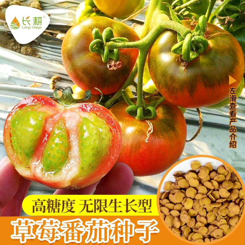 单人生存沙盒游戏_单机生存游戏手机版大全_手机版单机沙盒生存游戏
