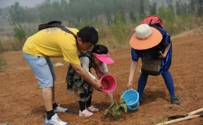 手机单机游戏种植_单机种植养成游戏_单机种植手机游戏