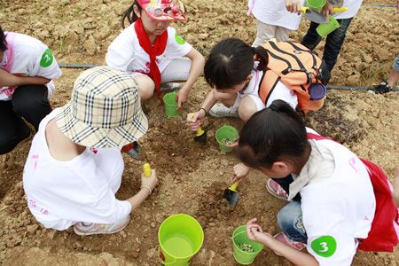 单机种植手机游戏_单机种植养成游戏_手机单机游戏种植