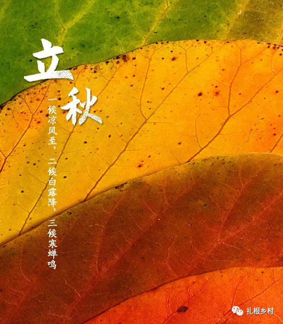 五毒月的九毒日是哪几天_五毒月_五毒月九毒日注意事项