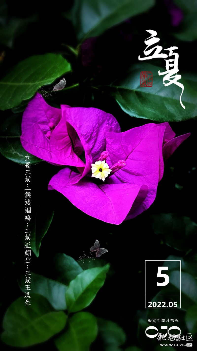 诗句芒种景象_诗句芒种时节的景象_芒种诗句