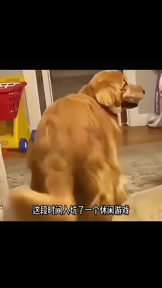 闪避激光游戏手机_躲避激光的游戏_躲避激光子弹是什么游戏