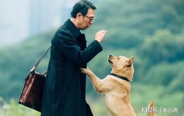 电影观看在线忠犬八公故事视频_忠犬八公的故事电影在线观看_《忠犬八公的故事》在线观看
