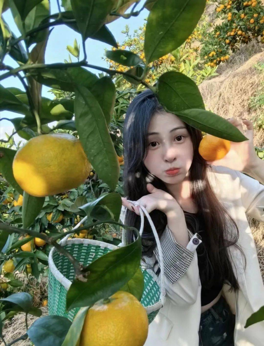 适合大学生的手机平价游戏_适合大学生玩的游戏机_适合大学生玩的手机益智游戏