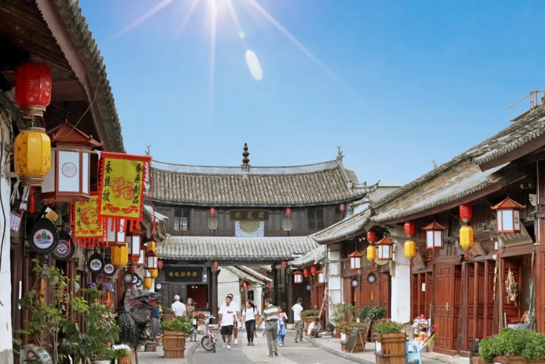 介壳虫什么样图片_大介_介大欢喜的意思