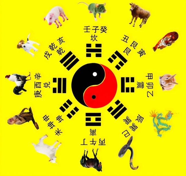 真祖_新绝世真祖_吸血鬼真祖