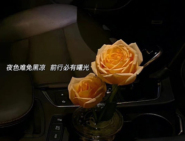手机发泄游戏_适合发泄的手机游戏_适合手机的游戏