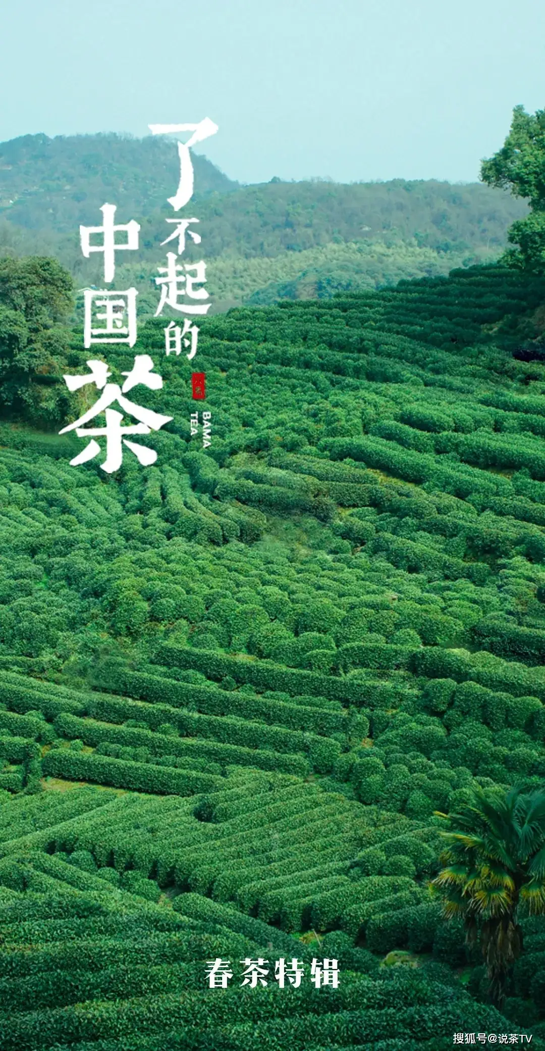 香霖堂_香霖堂_香霖堂