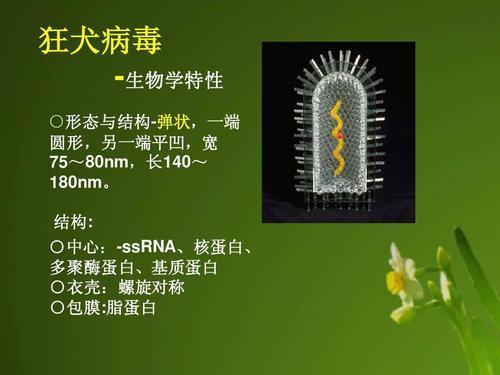 生化危机手机版中文版下载_生化危机六游戏下载手机版_生化危机下载手机版本