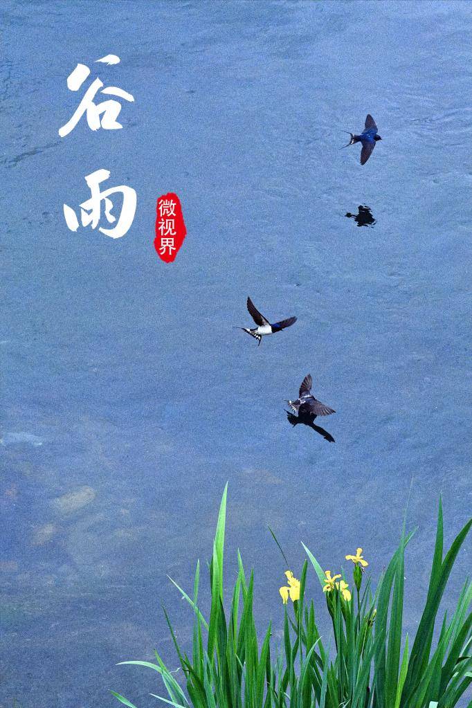 谷雨故事投稿平台_谷雨故事投稿平台下载_谷雨故事