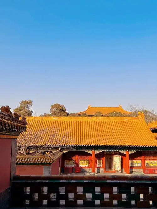 七森星罗：星辰之城的活力与文化底蕴