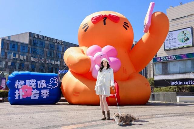 森罗星和精灵星_森罗星的两位兽王_七森星罗
