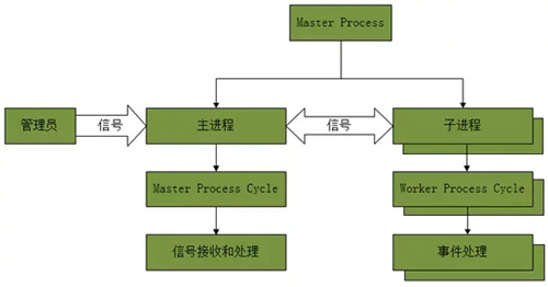 部署nginx服务器_vue部署nginx_部署nginx集群