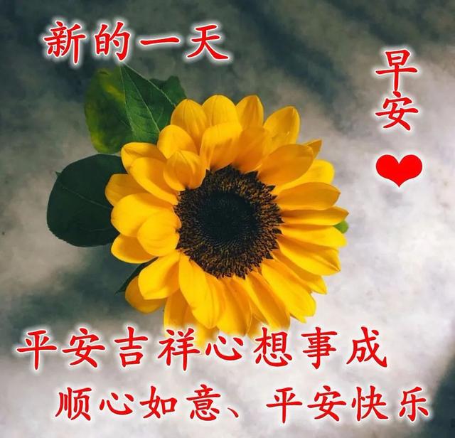 冬马曜子的女儿叫什么_冬马曜子_冬马曜子得了什么病