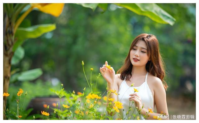 手机解说美女游戏_美女单机游戏解说_解说美女手机游戏视频