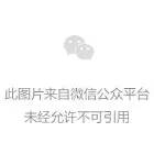 魔戒1免费观看完整版高清_魔戒电影在线观看完整版免费_魔戒电影免费
