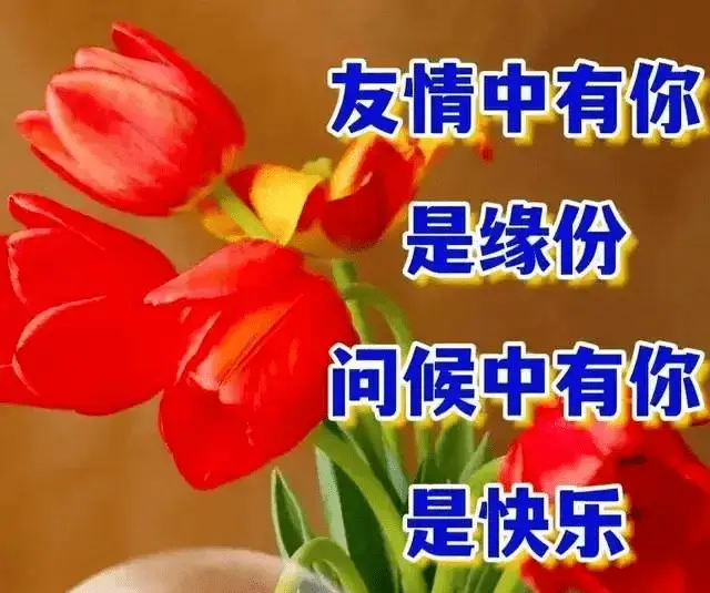 华庄华憬佳园二手房_百华庄_能源华庄