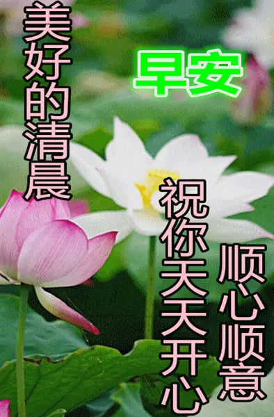 温州综合频道_温州频道综合频道直播_温州综合频道回放回放