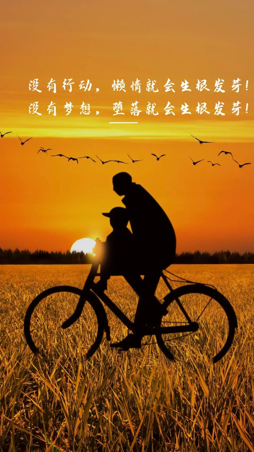 功夫版手机游戏有哪些_功夫版手机游戏大全_手机版功夫游戏