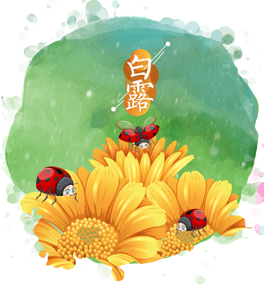 白露是什么季节什么意思_白露是什么时间几点几分_白露是什么时候